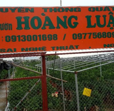 Giới thiệu nhà vườn Hoàng Luận