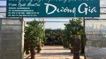Giới thiệu nhà vườn Dương Gia
