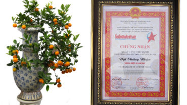 Giới thiệu nhà vườn Thế Mạnh