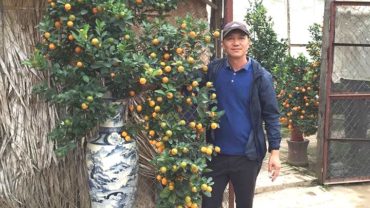Giới thiệu nhà vườn Đức Thọ