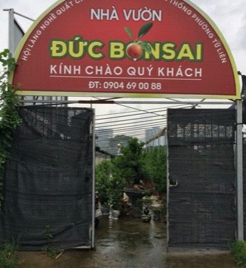 Giới thiệu nhà vườn Đức Bonsai