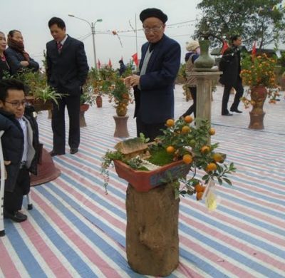 Tây Hồ (Hà Nội): Đặc sắc Hội chợ nghệ thuật quất cảnh Xuân Đinh Dậu 2017