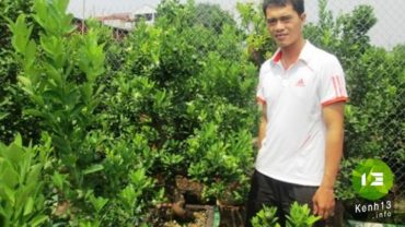 8X làm giàu nhờ quất bonsai